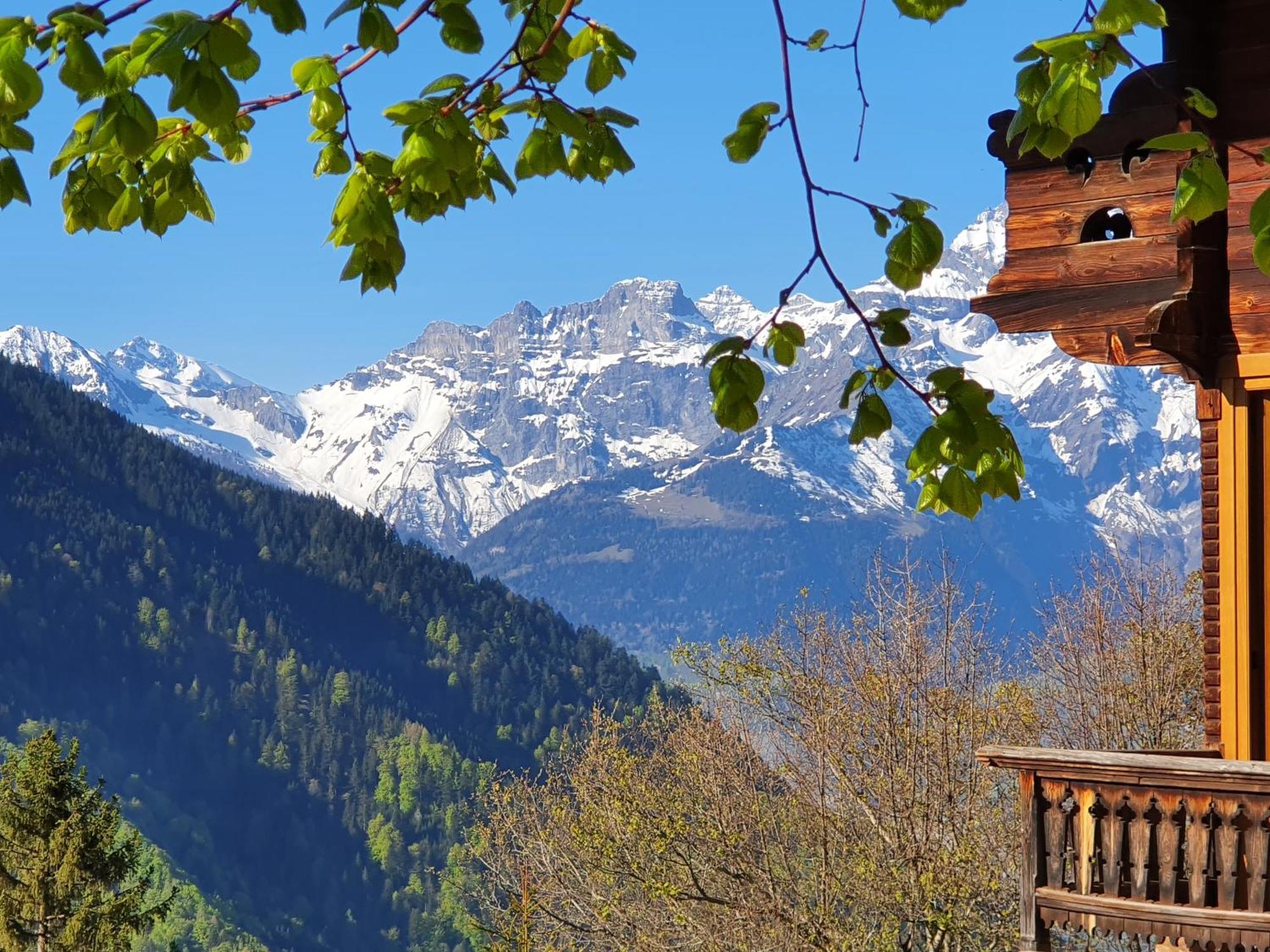 Magnifique Chalet Valerie 5 Chambres A Coucher & Vue Unique Грион Экстерьер фото